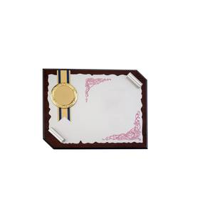 Placa Decorativa Plateada Elegante en Oferta para Premios o Reconocimientos, Regalos Corporativos y Decoración del Hogar u Oficina a Buen Precio - Product Image 2
