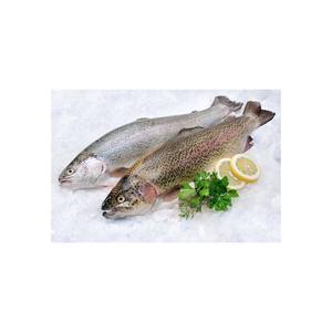 Trucha fresca de alta calidad disponible a precio de descuento para compradores que buscan suministro en grandes cantidades. - Product Image 5