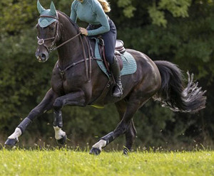 Ultra Soft Polyester Spandex Women's High Quality <b>Long</b> <b>Sleeve</b> Moisture-Wicking Breathable Equestrian <b>Base</b> <b>Layer</b> Horse Riding - Product Image 6