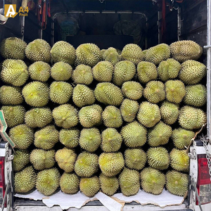 Durian Premium de Thaïlande, chair dorée sucrée, export en gros, morceaux de durian congelés, pulpe, goût original thaïlandais pour les importateurs - Product Image 5