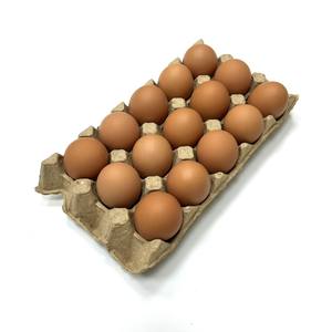 Bandeja para Huevos de Papel Ecológica de Alta Calidad, Personalizable, para 15 Huevos, Venta al Por Mayor del Fabricante - Product Image 1