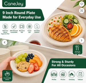 Canejoy 9 Inch Bagasse Round <b>Plate</b> | Eco-Friendly <b>Disposable</b> Travel Dinner <b>Plate</b> | 10 Packs | Classic Style | Made in Gujarat - Product Image 5