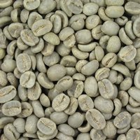 Chicchi di Caffè Robusta Verde di Prima Qualità Grado 1 S16, S18 - Naturale di Alta Qualità dal Vietnam, Miglior Prezzo Pronto per l'Esportazione