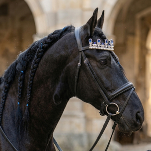 Fronture de cheval en cuir personnalisée haut de gamme, bleu roi, ornée de cristaux et de perles, style couronne/tiara, pour équestre, vente en gros, OEM - Product Image 3