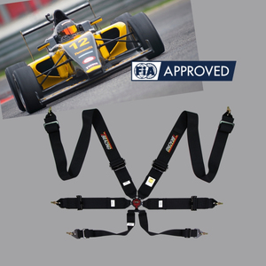 ECO A FIA Approved Professional Racing Harness With Steel Aluminum Hardware For OEM ODM Racing Seat Belt Buyers - Product Image 3