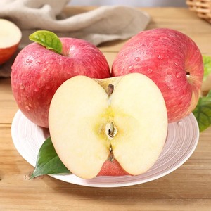 Manzanas Fuji Rojas Dulces y Crujientes Orgánicas al por Mayor, Calidad Premium, 100% Naturales, Cosecha Fresca, Fruta de Exportación de Alta Calidad, Suministro Rápido - Product Image 5