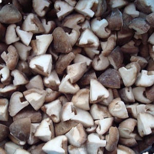 Suministro de setas congeladas, arroz de Vietnam, calidad prémium, Exportación - Product Image 2