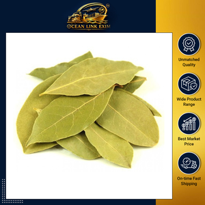 Feuilles de Laurier Entières Séchées de Qualité Supérieure, Épice Naturelle à l'Arôme Riche, 100% Naturelle pour la Transformation Alimentaire, le Commerce de Détail et les Marchés d'Exportation - Product Image 2
