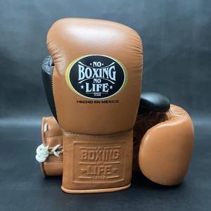 Gants de boxe en cuir de qualité supérieure RTS, rembourrage robuste, coutures durables, fermeture à lacets, excellents gants de kickboxing AI-BG-150 - Product Image 1