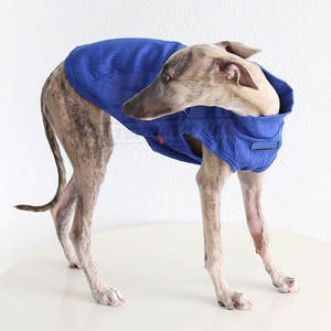 Traje Clásico para Perro de Poliéster Resistente, Ajustable, Ligero, a la Moda para Invierno, Disfraz para Cachorro, Servicio OEM, Ropa para Fiestas - Product Image 3