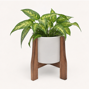 New Arrival Mid Century Modern Wooden Plant Stand Indoor Flower <b>Pot</b> <b>Holder</b> for Living Room Decor Solid Walnut Wood Stand - Product Image 6