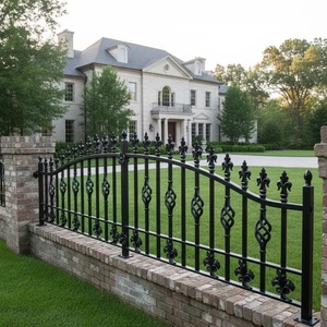 Portail en fer de style classique avec motifs décoratifs et revêtement antirouille ; facile à assembler et adapté au jardin - Product Image 3