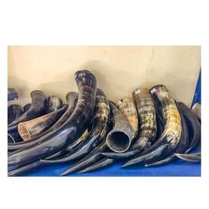 Jarra Vikinga Hecha a Mano de Cuerno de Búfalo Natural, en Forma de Campana, para Cerveza o Sidra, Precio al por Mayor - Product Image 1