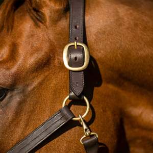 Brida y cabezada para caballo estilo inglés de alta calidad, hechas de cuero genuino, ideales para equitación al aire libre. Mejor precio. - Product Image 2