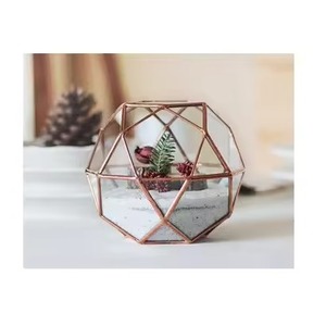 Luxury Indoor Garden Metal Terrarium Glass <b>Planter</b> Stylish Geometric Plant Display <b>Box</b> Home Decor Accent - Product Image 1