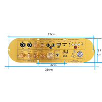 Carte d'amplificateur domestique D1000A pour entrée double micro 5.0, 2.1 canaux, 50W+50W+100W, radio FM, alliage d'aluminium, DC15V, USB, TF, télécommande