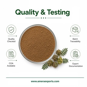 Proveedor Mayorista de Extracto Herbal de Tribulus Terrestris en Polvo - Product Image 4