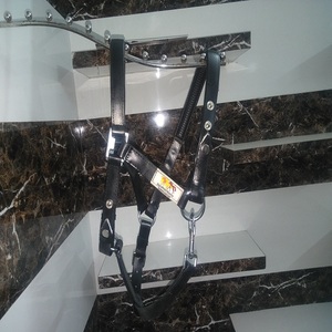 Harnais de cheval en cuir noir réglable avec ferrures métalliques, mentonnière réglable et rembourrage en néoprène, fabriqué à Kanpur, Inde - Product Image 3