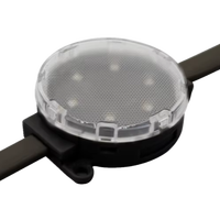 Lumière ponctuelle LED haute luminosité 48V IP67, boîtier en PC de 50 mm avec LED importées pour la décoration de camping