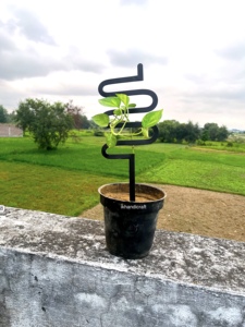 Enrejado de Acero para Jardín, Moderno, Ecológico, Económico, con Forma Hexagonal, Certificado a Prueba de Roedores, con Recubrimiento en Polvo, Soporte para Modelo 3D - Product Image 3