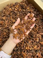 Bunga Cengkeh Besar Rasa Enak Harga Pabrik dari Phalco Vietnam Company, Proses Pengeringan Campuran, Rempah & Herbal Tunggal Kering