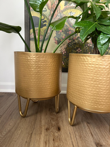 Macetero de Metal Martillado con Soporte Dorado Claro Mate, Maceta Decorativa Moderna para Plantas de Interior, Sala de Estar, Oficina - Product Image 5