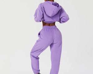 Pantalon de survêtement à capuche uni personnalisé de marque privée survêtements pour femmes ensemble de 2 pièces survêtement de gymnastique pour femmes couleur personnalisée - Product Image 2
