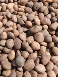 Piedras naturales y piedras de molienda utilizadas para molinos de bolas, piedras de mármol pulidas pequeñas de color blanco nieve para decoración del hogar. - Product Image 4