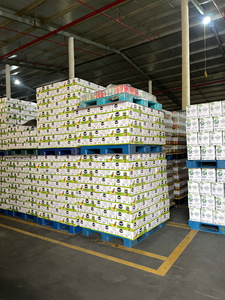 Bebida de jugo de gelatina de hierba marca Tropi, lata de aluminio de 330 ml, paquete de 24, precio competitivo - Product Image 5