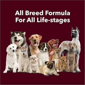 Friandises à mâcher naturelles au lait de chien pour le calcium et la santé osseuse, nettoyage buccal, soin des dents, collation saine pour animaux de compagnie, marque privée, OEM, supplément en vrac - Product Image 5
