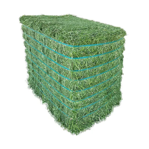 Stock frais de foin d'alfalfa de qualité supérieure pour chevaux et bovins, vente en gros en vrac d'Afrique du Sud - Product Image 4