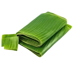 Emballage biodégradable de feuilles de bananier du Vietnam Solution d'emballage alimentaire écologique de haute qualité et à prix compétitif - Product Image 3