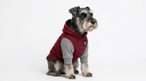 Sweat-shirts pour chiens de qualité supérieure avec tissu doux, coupe élégante, respirant, confortable et chaud pour les promenades quotidiennes, les jeux et les aventures en plein air - Product Image 3