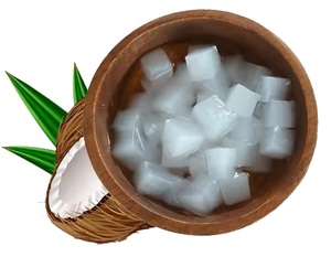 PREMIUM NATA DE COCO CUBES IN SYRUP READY TO EAT BULK WHOLESALE SUPPLIER - Product Image 5