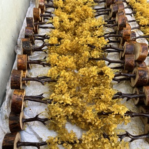 High Quality Yellow Citrine Money Tree 300 <b>Chips</b> Feng Shui Wealth Tree Handmade <b>Crystal</b> Bonsai Home Decor Wholesale From India - Product Image 6