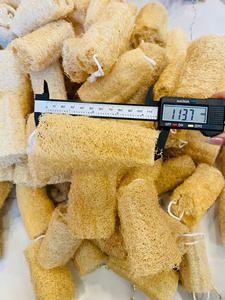 Éponge de douche en loofah naturelle de haute qualité, exfoliant corporel biologique multifonctionnel pour le nettoyage et l'exfoliation sous la douche - Product Image 1