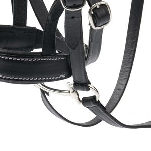 Brida de Caballo Occidental de Alta Calidad en Cuero Genuino, Nailon PP y Acero Inoxidable para Equitación - Product Image 6
