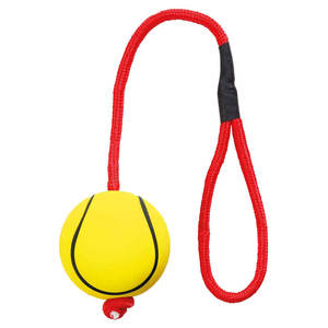 Set di Palline al Neon con Corda in Gomma Morbida, Lunghezza 30 cm, Diametro 6 cm, per Giochi Interattivi e di Movimento per Animali Domestici - Product Image 3
