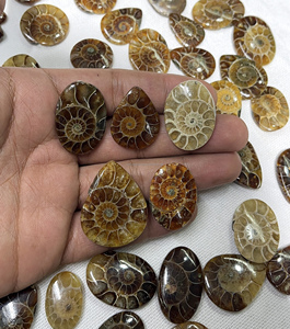 Radha Arts - Gemas Sueltas de Amonita Natural de Alta Calidad, Cabujón de Forma Mixta de 20-35 mm, para Fabricación de Joyería de Plata, Personalizable - Product Image 5