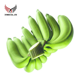 Meilleures suggestions de bananes Cavendish fraîches de qualité supérieure Banane verte Prix compétitif Expédié par 3Timex Company Vietnam - Product Image 1