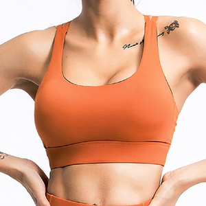 Wholesale Women's Sport Bra-Soft High Support Seamless-Sports Bra Comfort-Fitness Women High Quality Yoga Bra OEM Service - Product Image 3