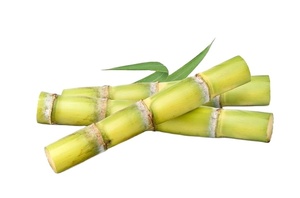 Canne à sucre congelée pour boissons et dessert | Vente en gros de canne à sucre 100% naturelle du Vietnam - Product Image 2