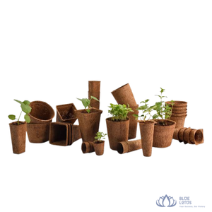Pot de fleurs en fibre de coco Blue Lotus Coir Ben Tre, biodégradable, style rustique minimaliste, carré, avec trou de drainage, pour plantes d'intérieur et de jardin - Product Image 1