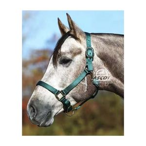 New Design Nylon Horse Halter in Low Price with Ss Fittings <b>Snap</b> <b>Hook</b> for Equestrian Wholesale - Product Image 1