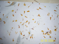 Gousses de fleurs séchées naturelles sur mesure à base de fleurs séchées naturelles idéales pour les fabricants de pots-pourri et de décorations florales