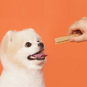 Comprimés de soin dentaire pour chiens NoAh Pet Bio Organic Safe Herbal Fermented Ingredients, à base de ginseng rouge (12 bâtonnets, 84g) - Product Image 5