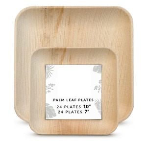 Assiettes compostables en feuilles de palmier, sans produits chimiques, à base de plantes, biodégradables, jetables, pour la restauration commerciale, service alimentaire, en gros - Product Image 4
