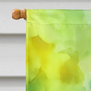 Virginie américain cornouiller aquarelle grande maison drapeau multicolore porche manches pôle décoratif cour bannière tenture murale Polyester - Product Image 3