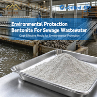 Bentonite pour le traitement des eaux usées, adsorbant des métaux lourds, pour la purification des eaux usées industrielles, poudre filtrante nutritive