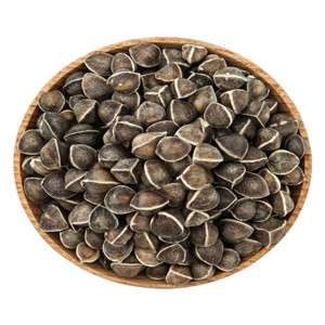 Graines de Moringa de Qualité Supérieure en Gros, 100% Pures, Graines de Moringa Oleifera à Prix de Gros - Product Image 2